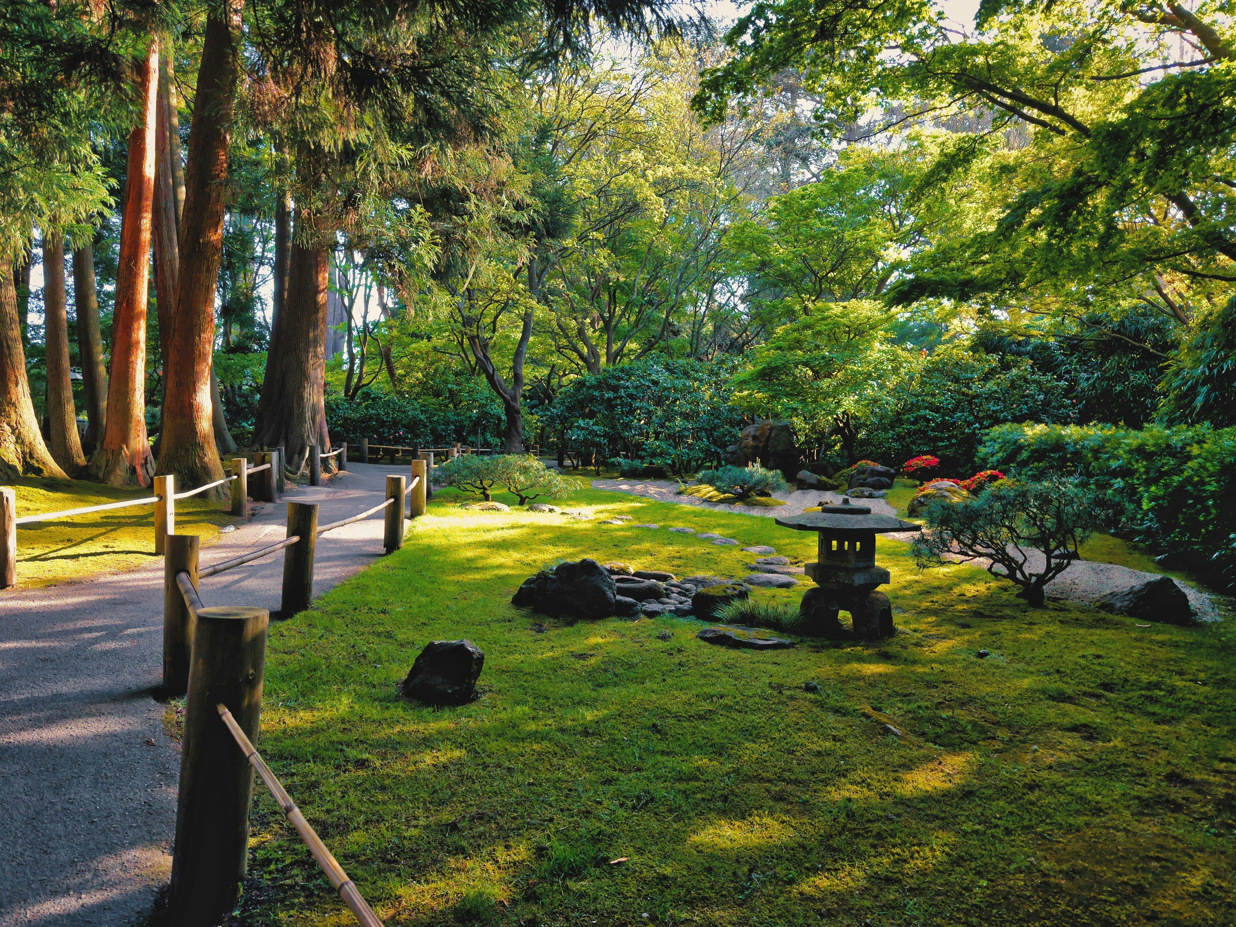 Garden SF