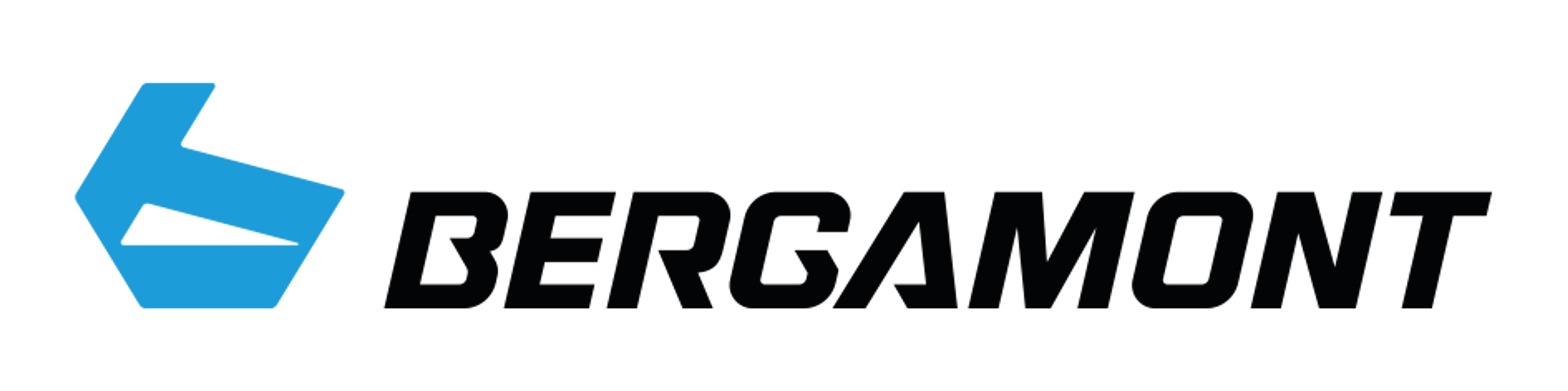 Bergamont Logo