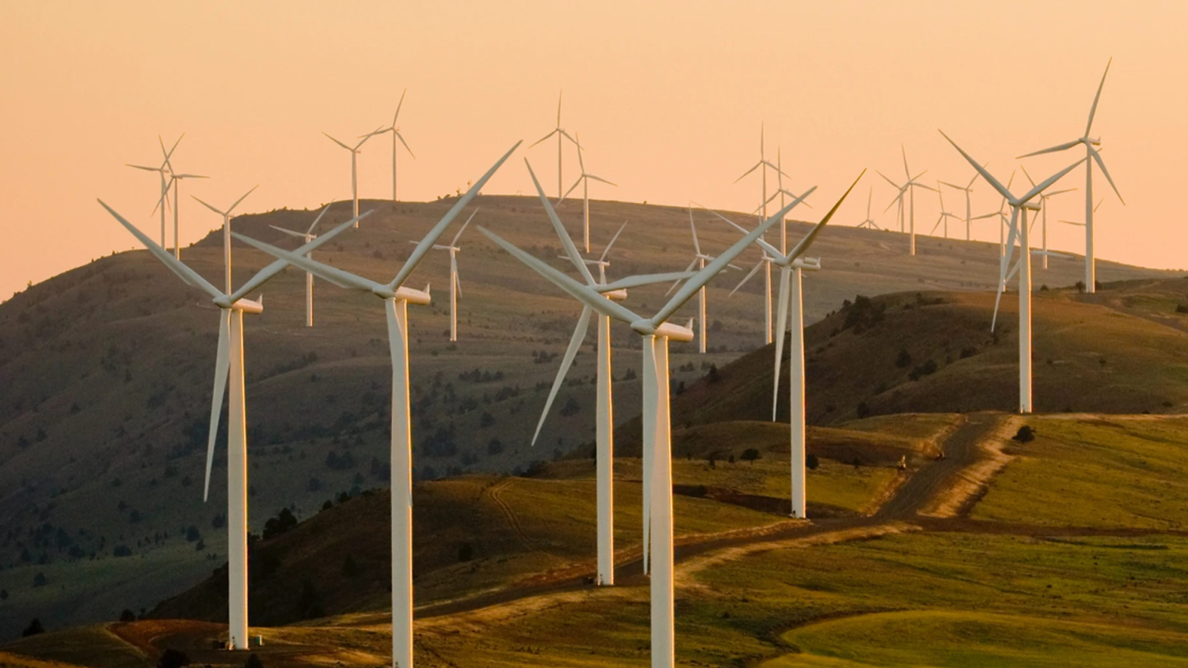 Field-of-wind-turbines
