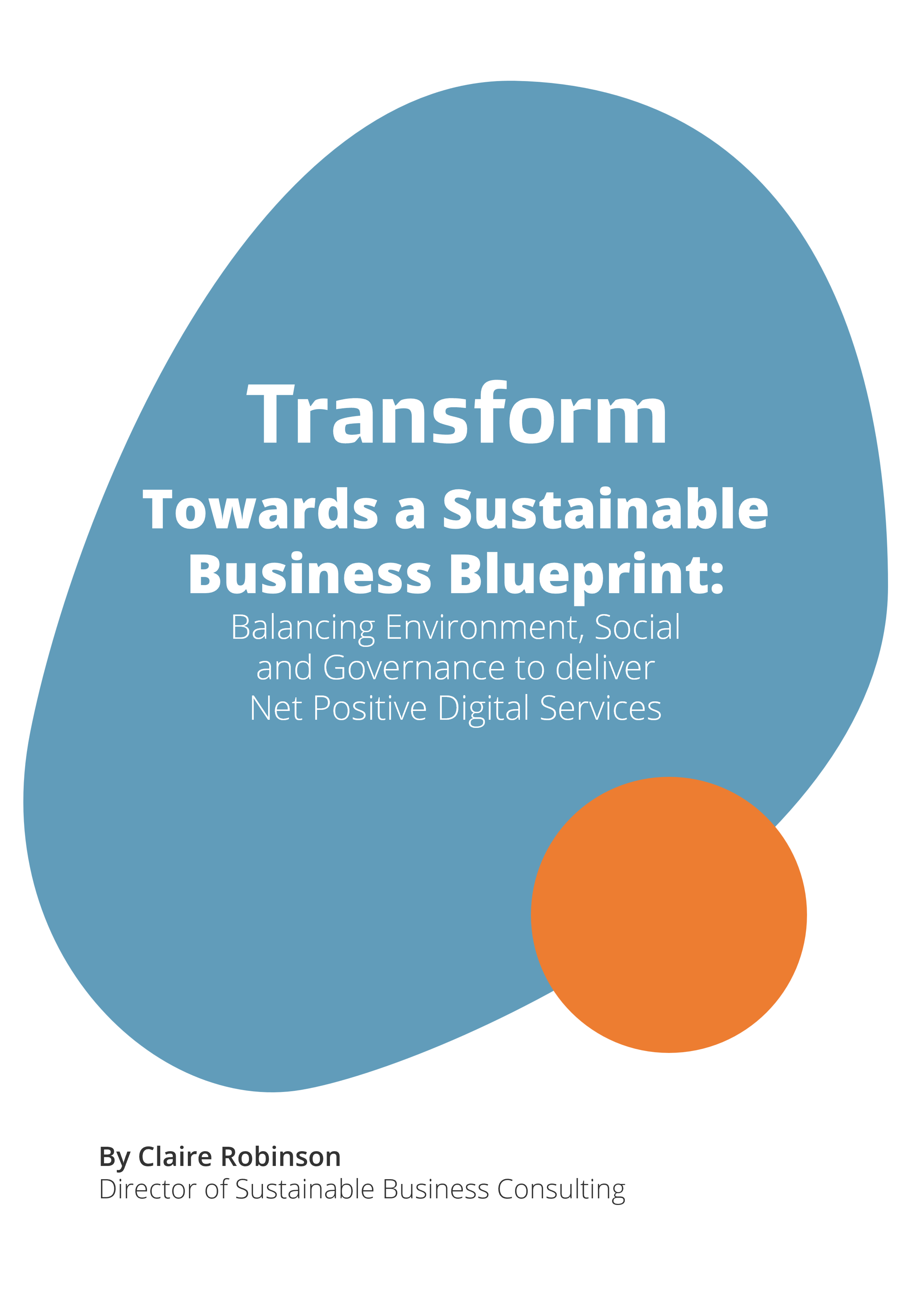 Cover Towards a Sustainable Business Blueprint thought piece