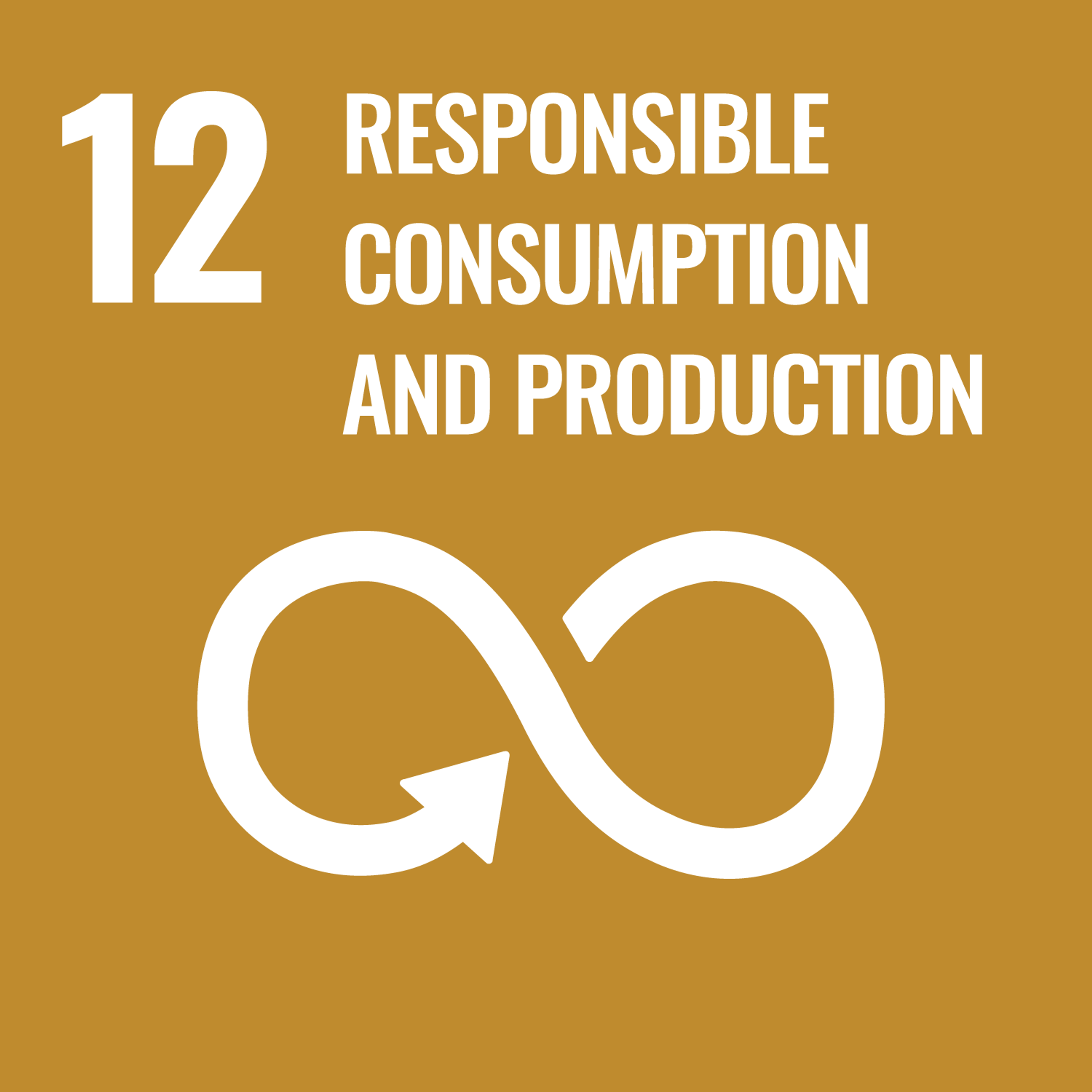 12 - Responsible Consumption and Production