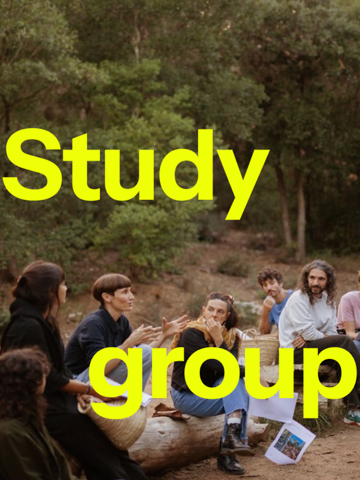 A study group meeting outdoors