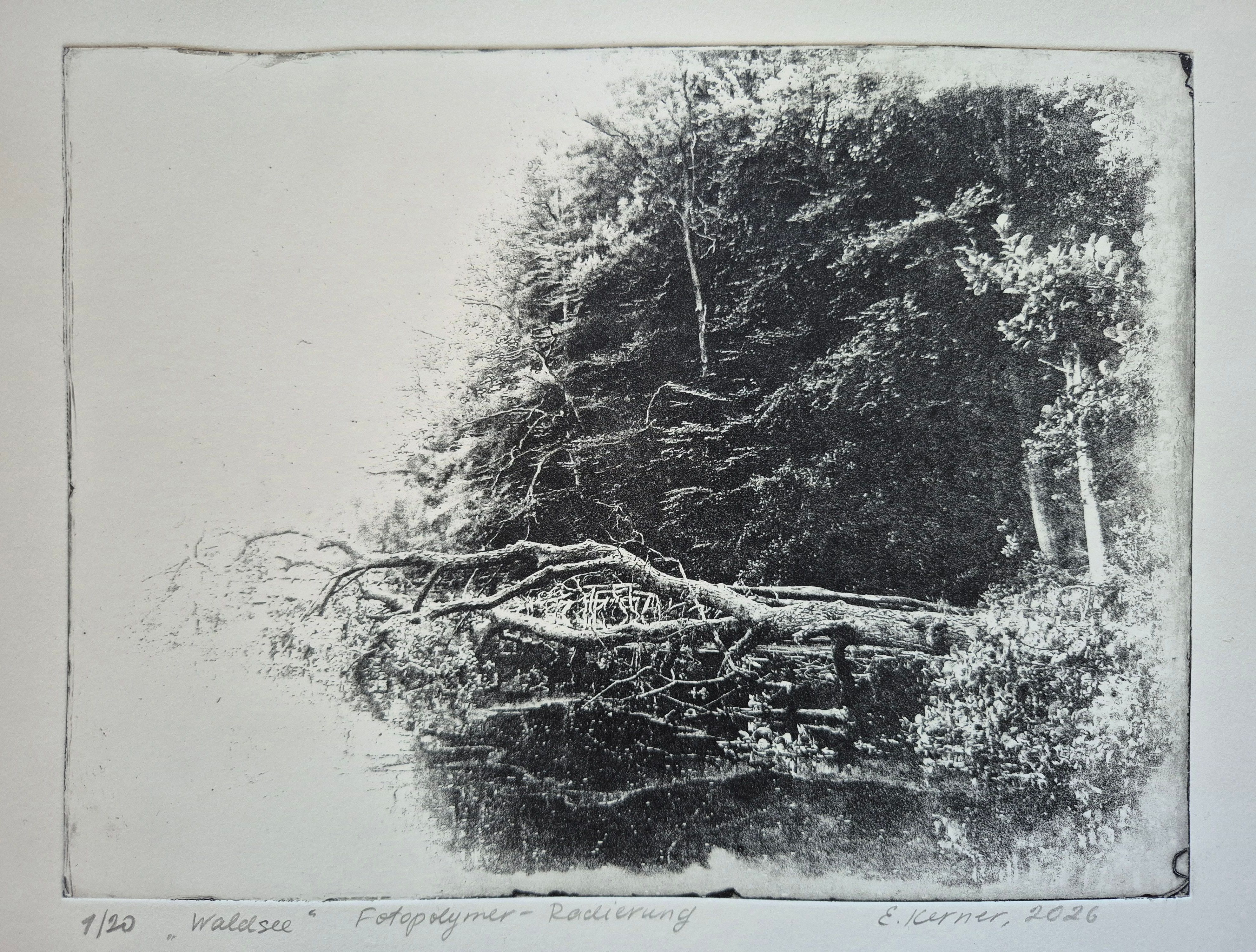 Waldsee