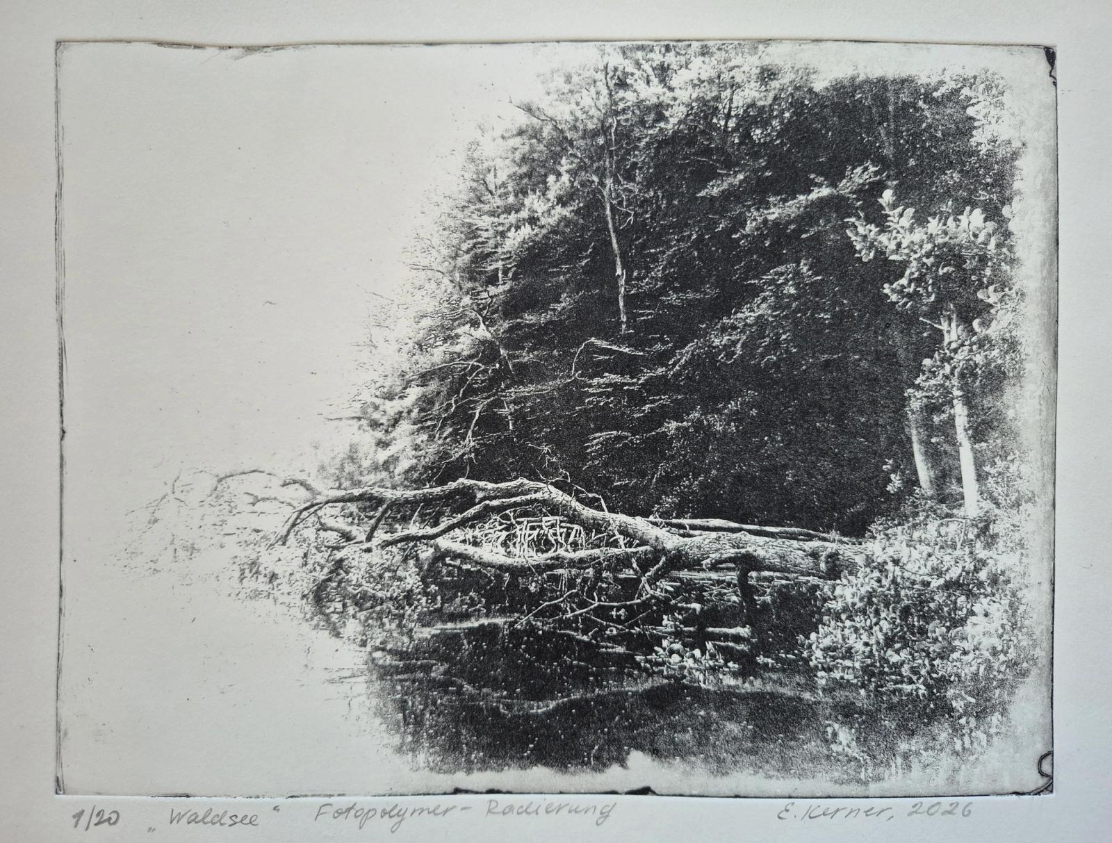Waldsee