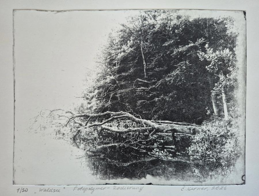 Waldsee