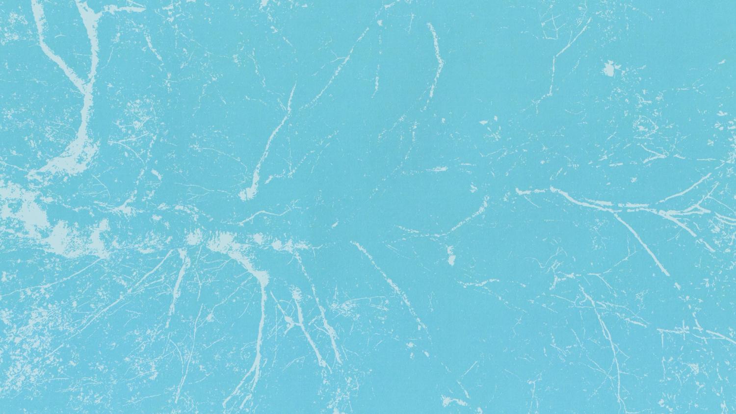 Photograph a light in the trees under a stage at Rally festival in 2025