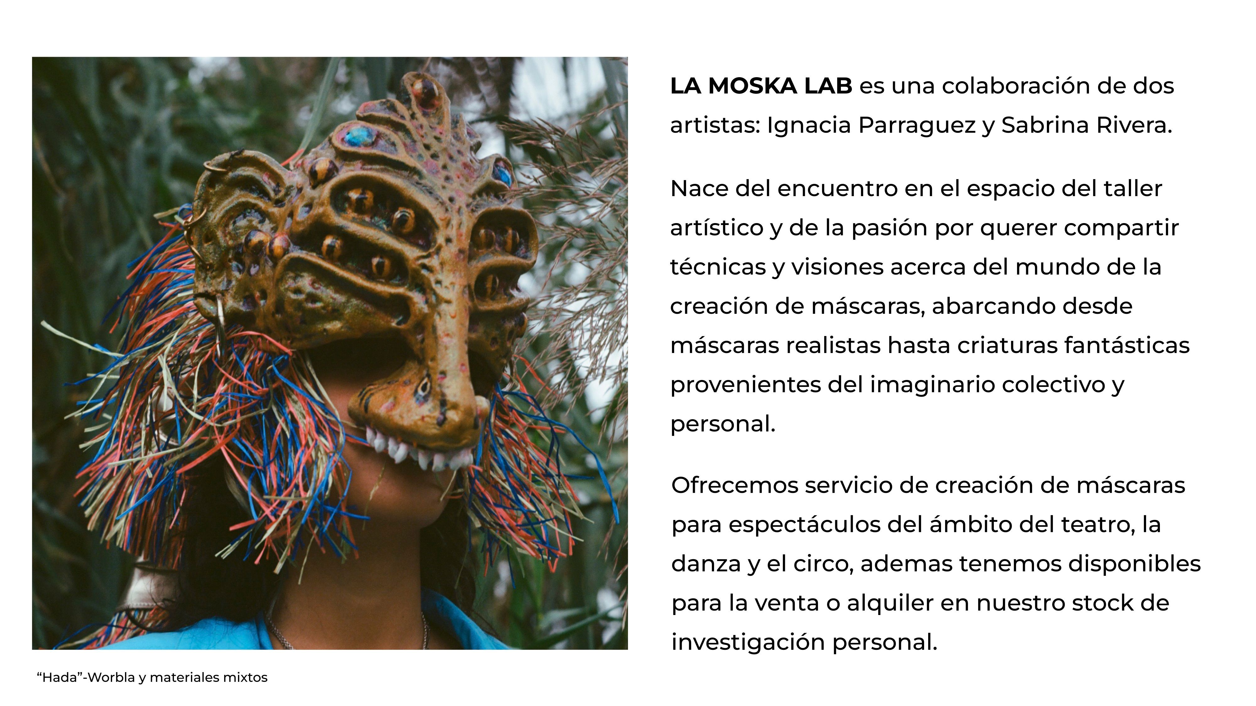 Project for La Mosca Lab 