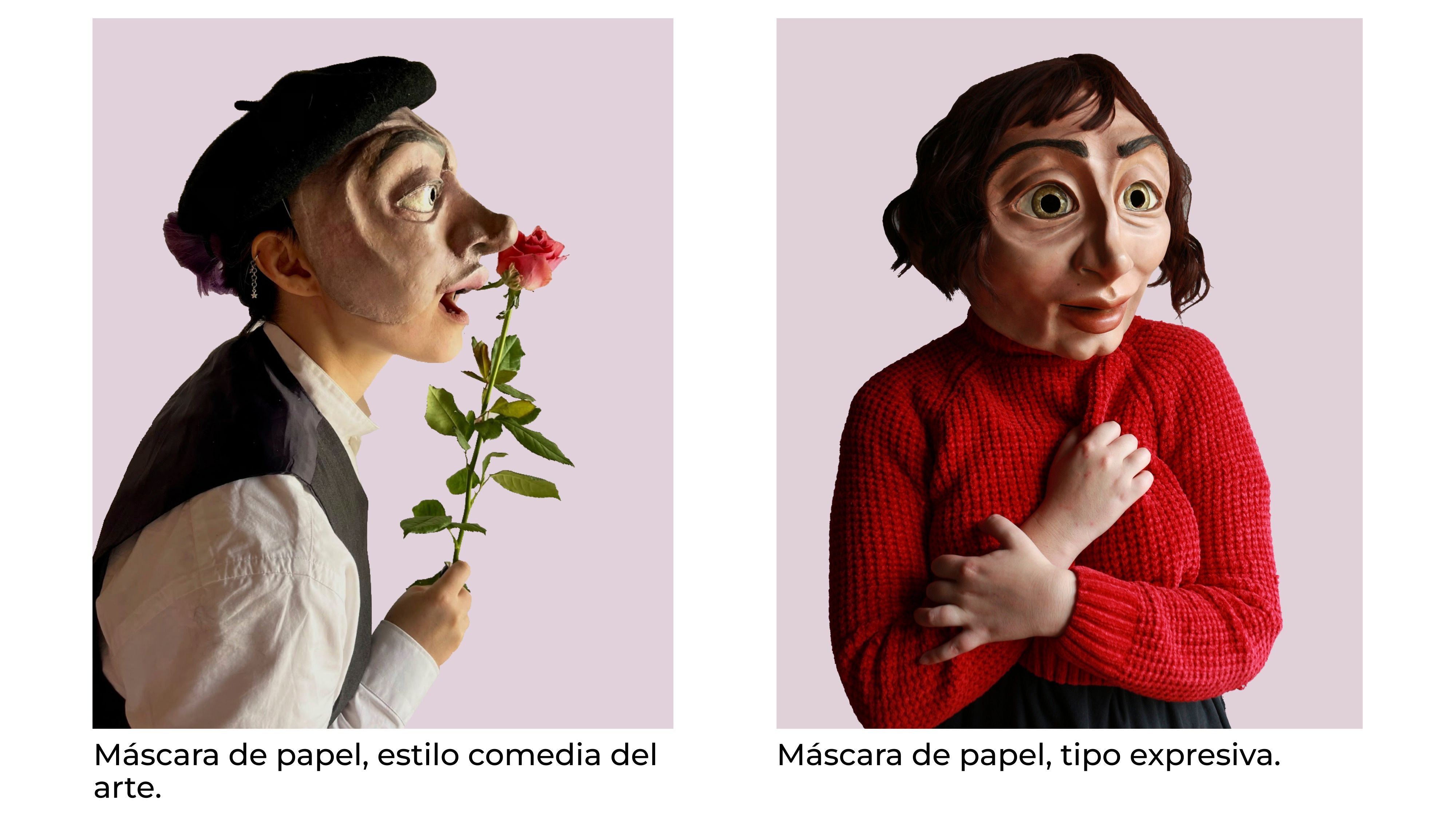 Project for La Mosca Lab 