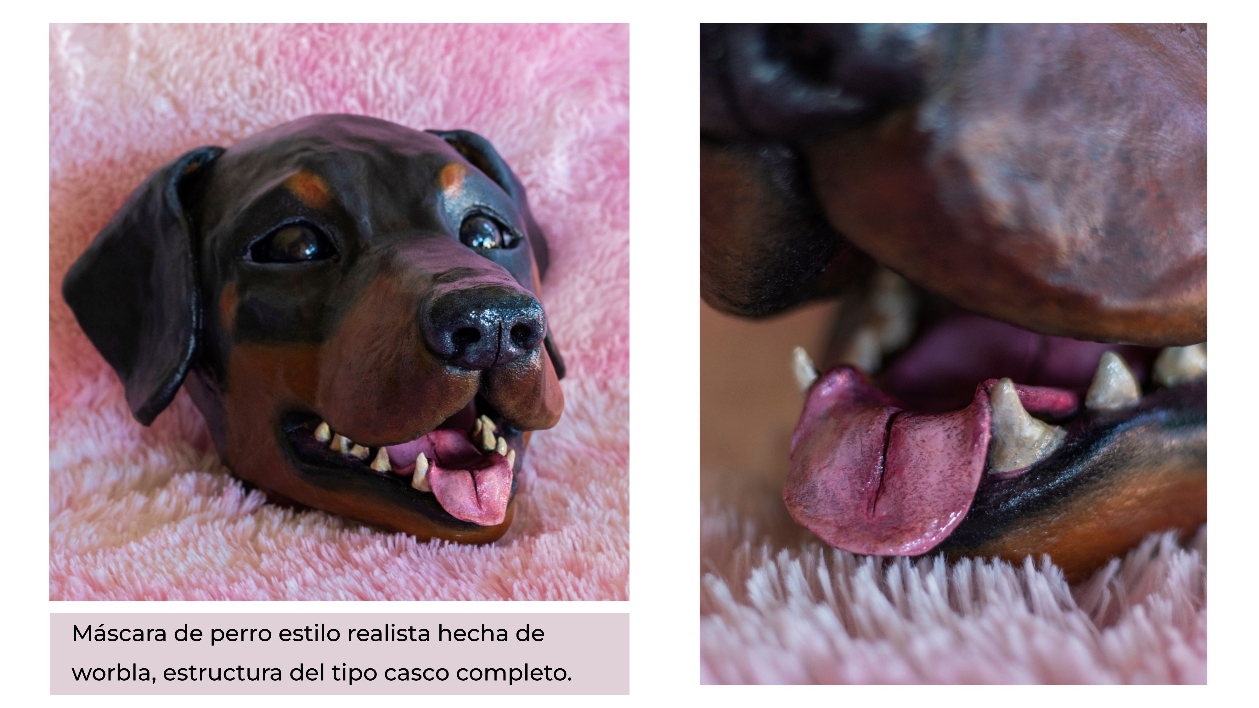 Project for La Mosca Lab 