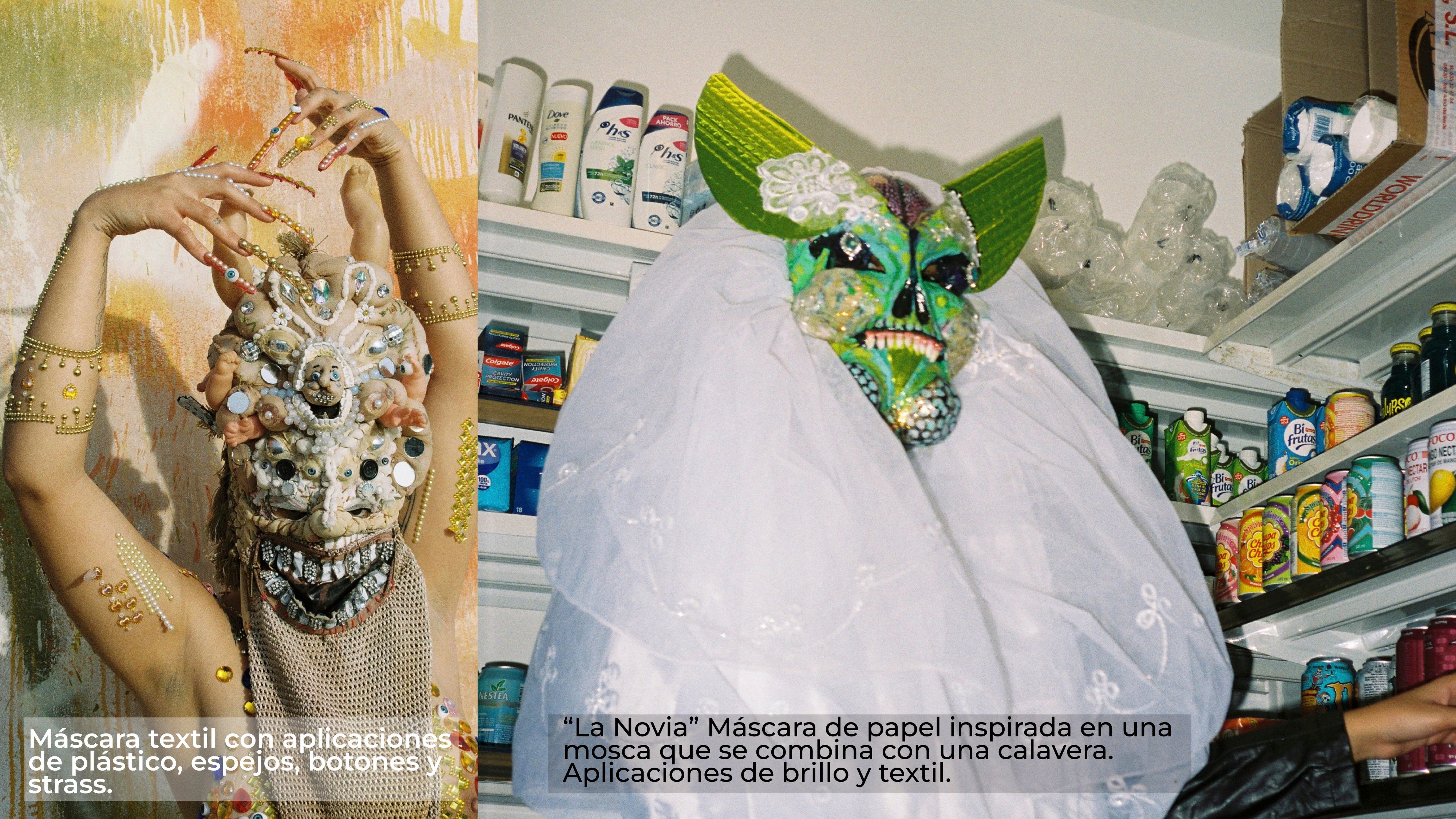 Project for La Mosca Lab 