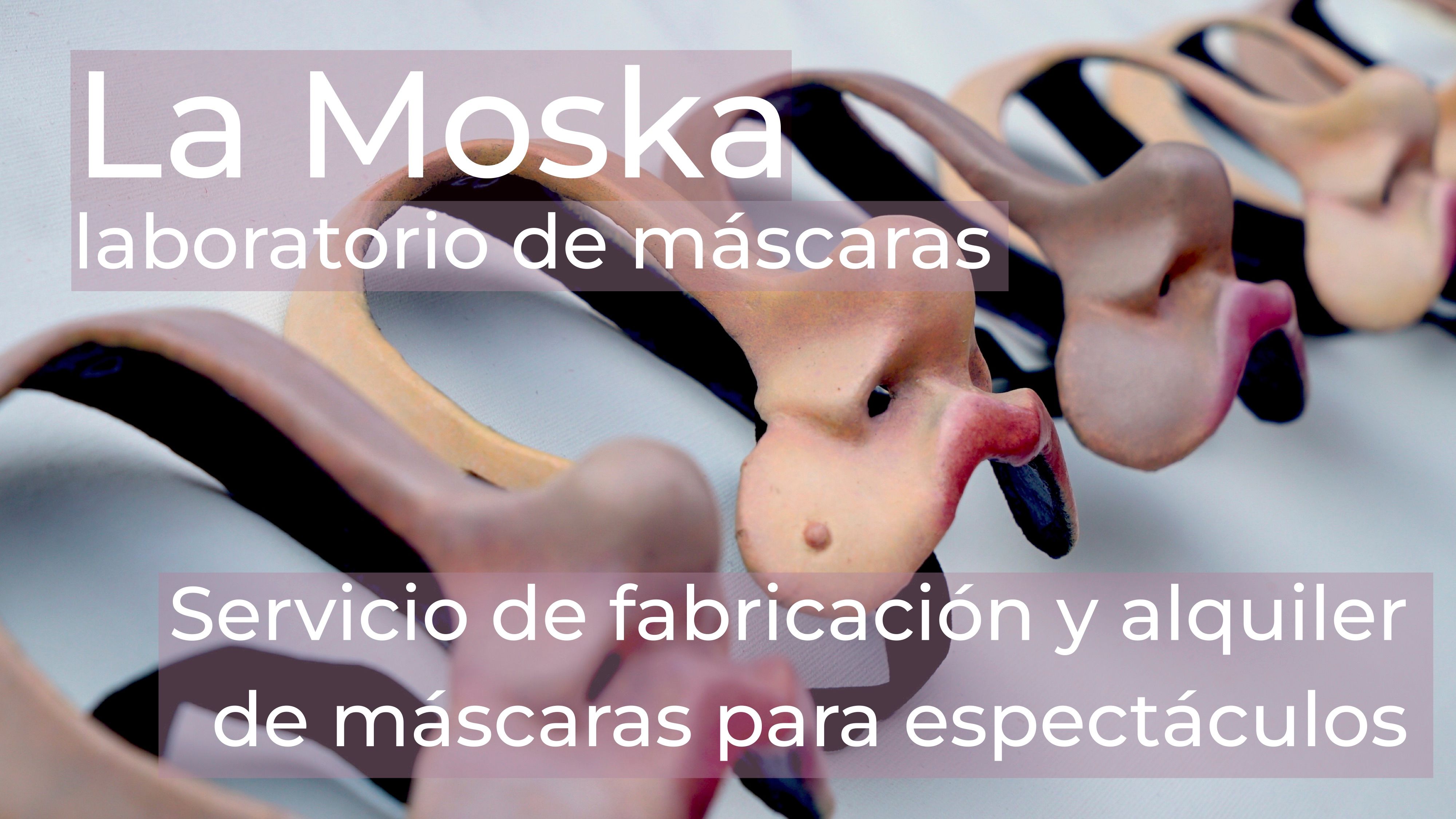 Project for La Mosca Lab 