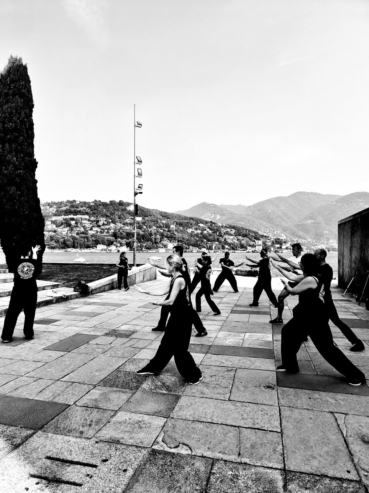 Tai Chi Chuan e Choy Li Fut al Lago di Como | MuovitiMuoviti