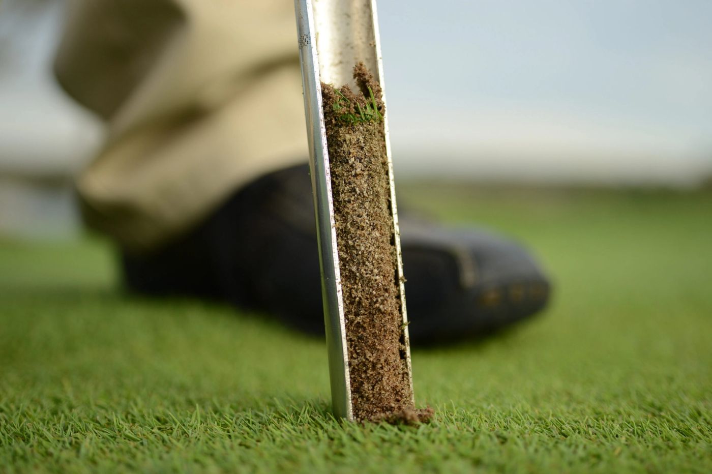 Root Depth: The Stat no one Talks About but Every Super Should track