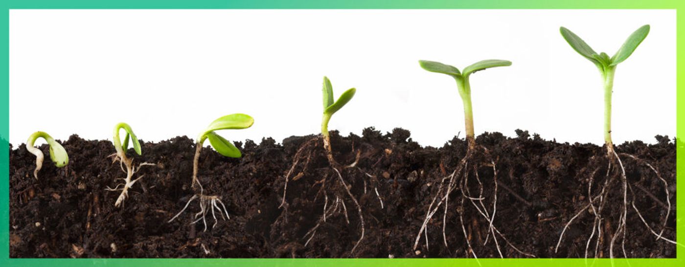Five Keys to More Effective Fertilizer Use