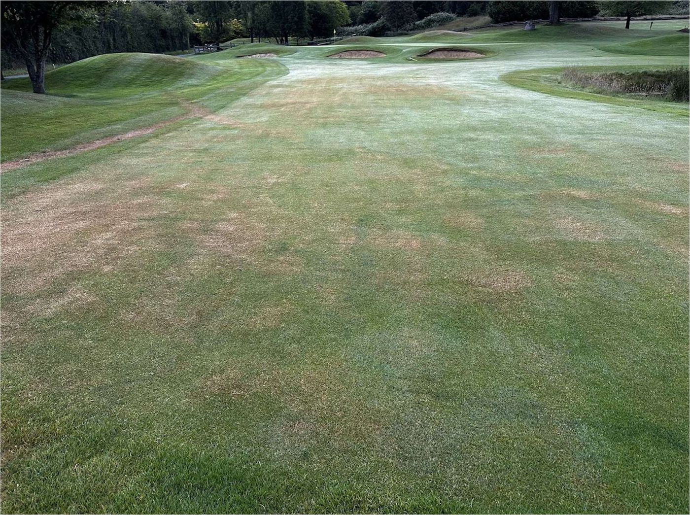 Drought-Proofing Your Course with TurfRx OsmoPro