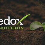 Redox 30th Anniversary