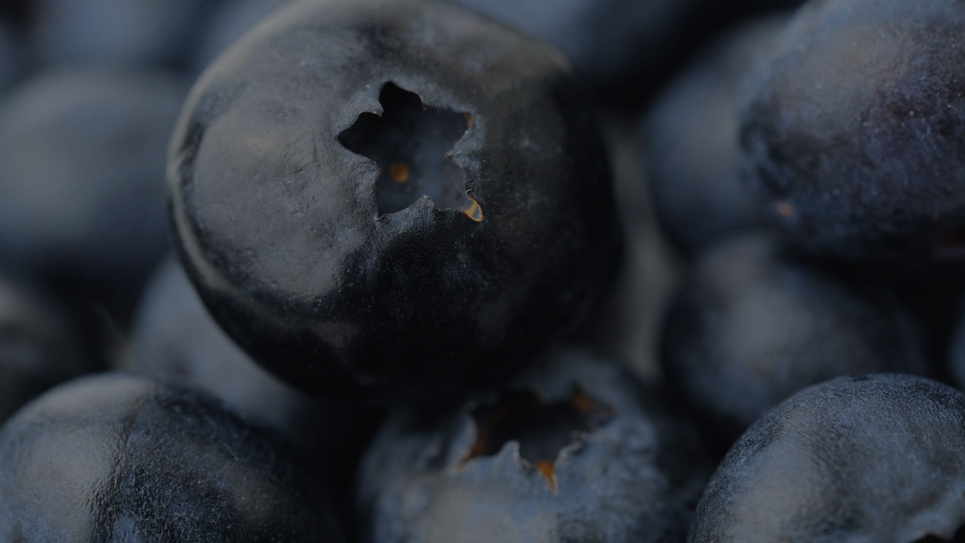 blueberries