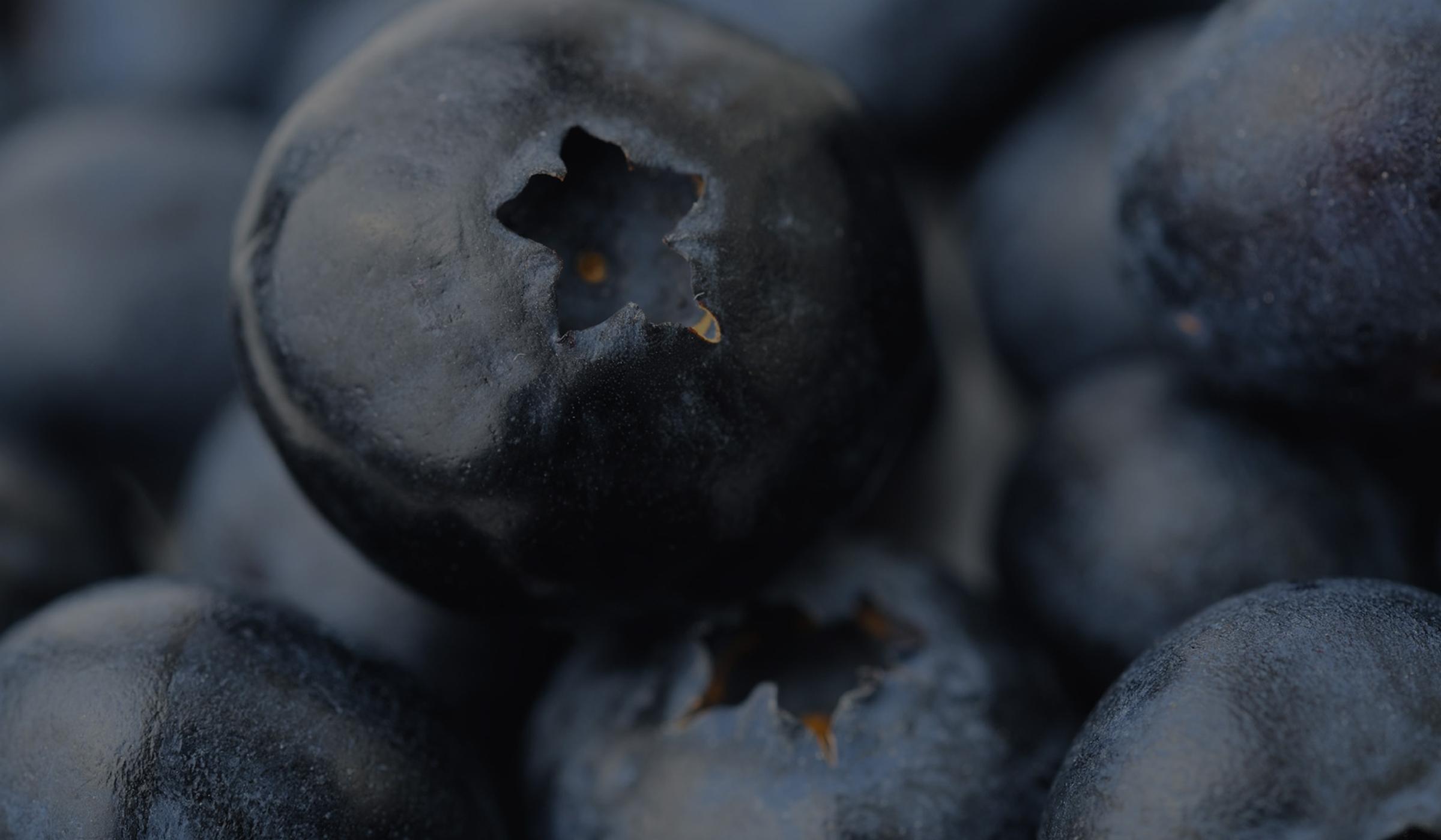 blueberries