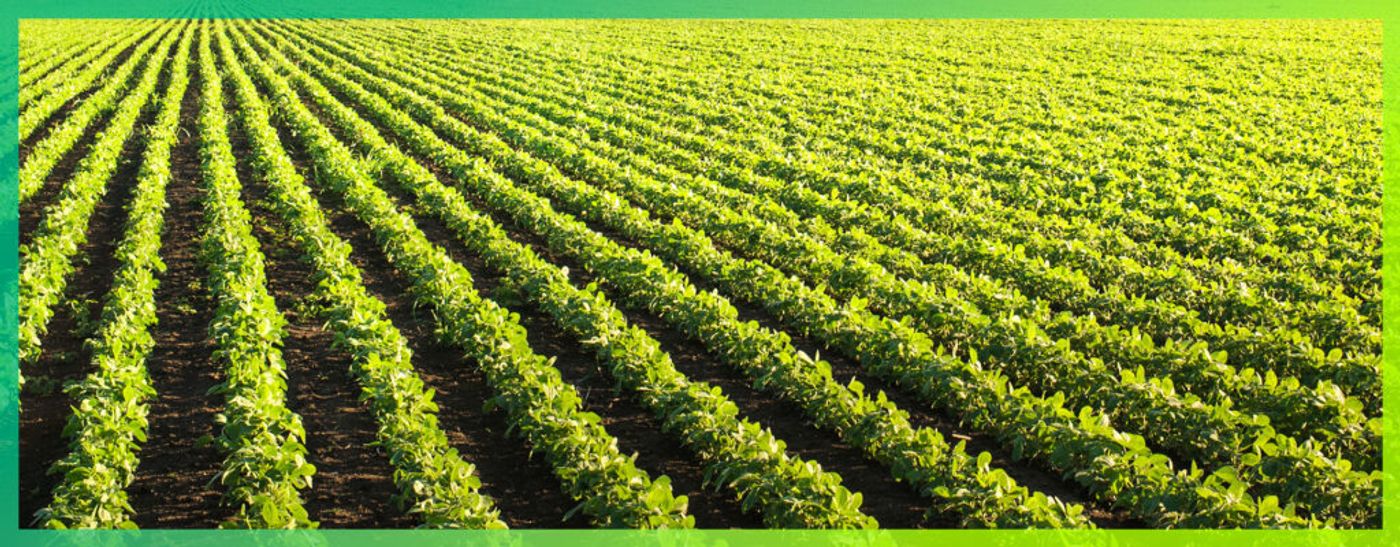 What Is Fractionation and Why It Matters
