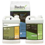 Redox 30th Anniversary