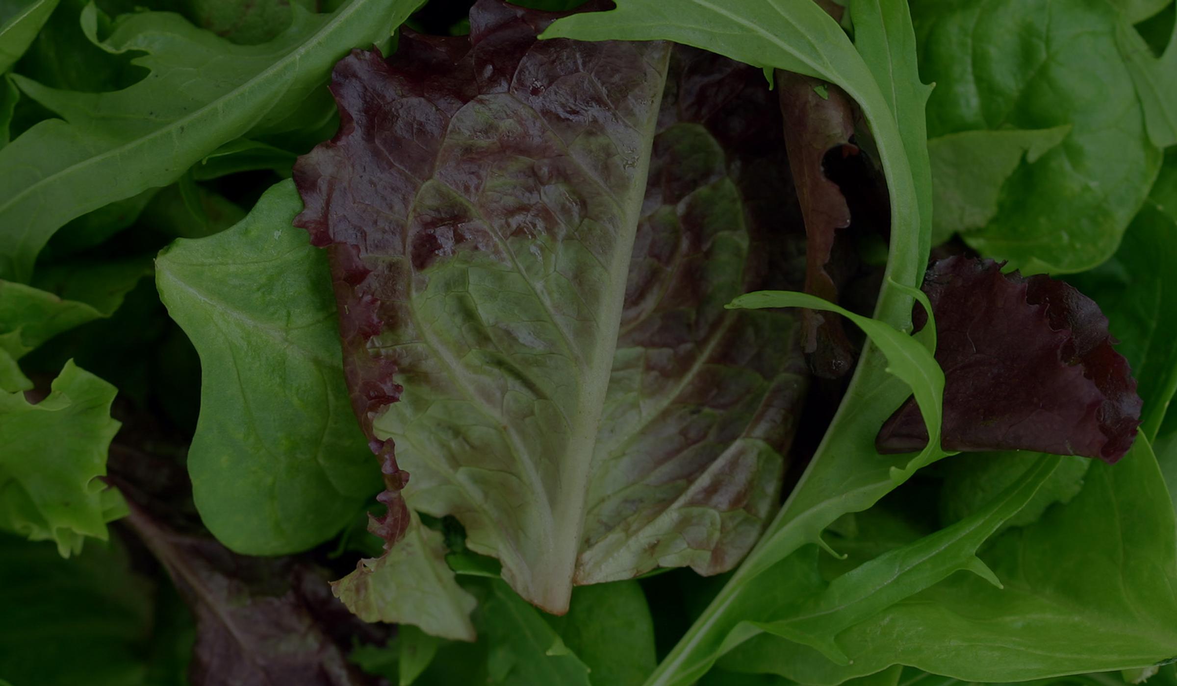 leafy-vegetables