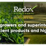 Redox 30th Anniversary