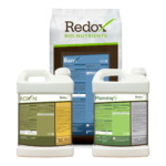 Redox 30th Anniversary