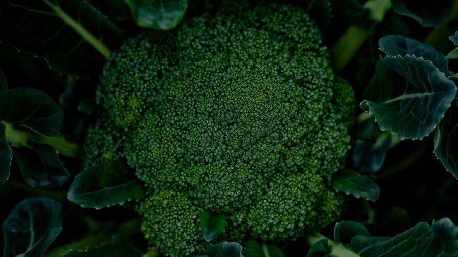 broccoli