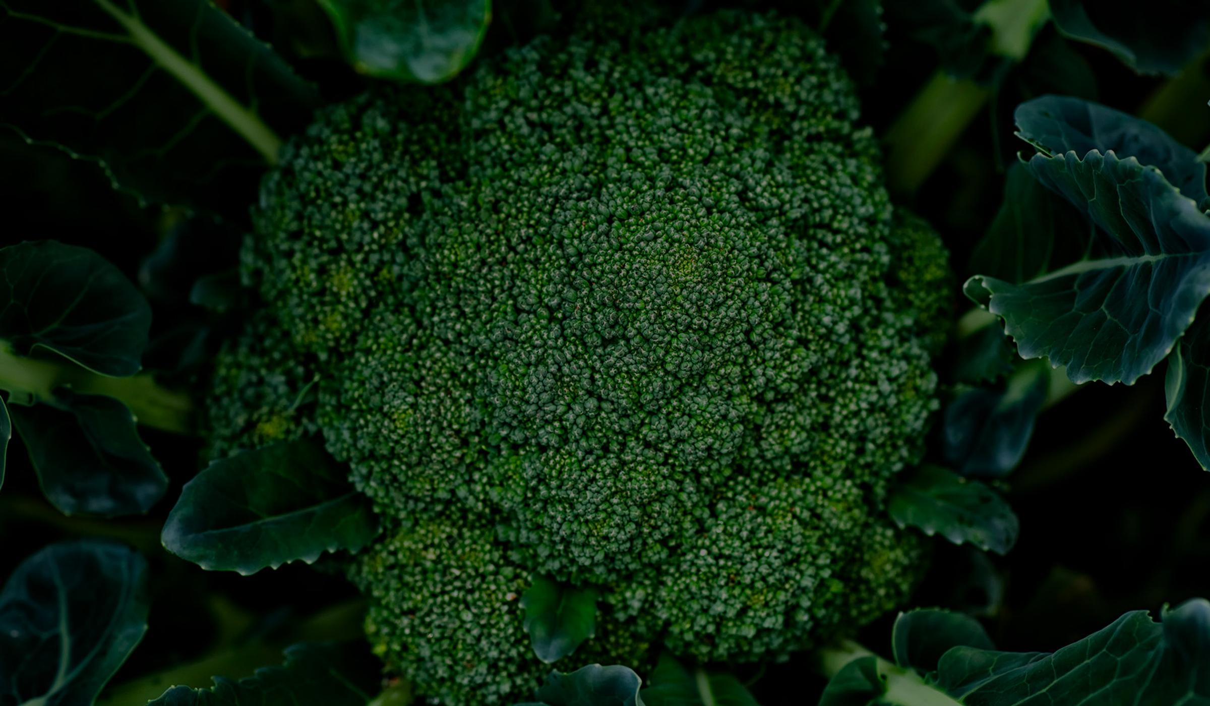 broccoli