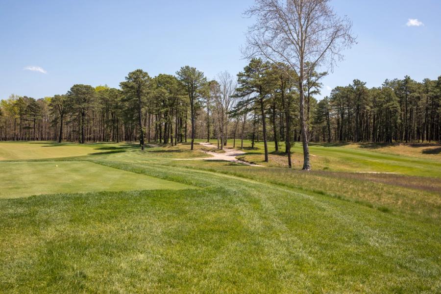 golf-green-treeline-approach