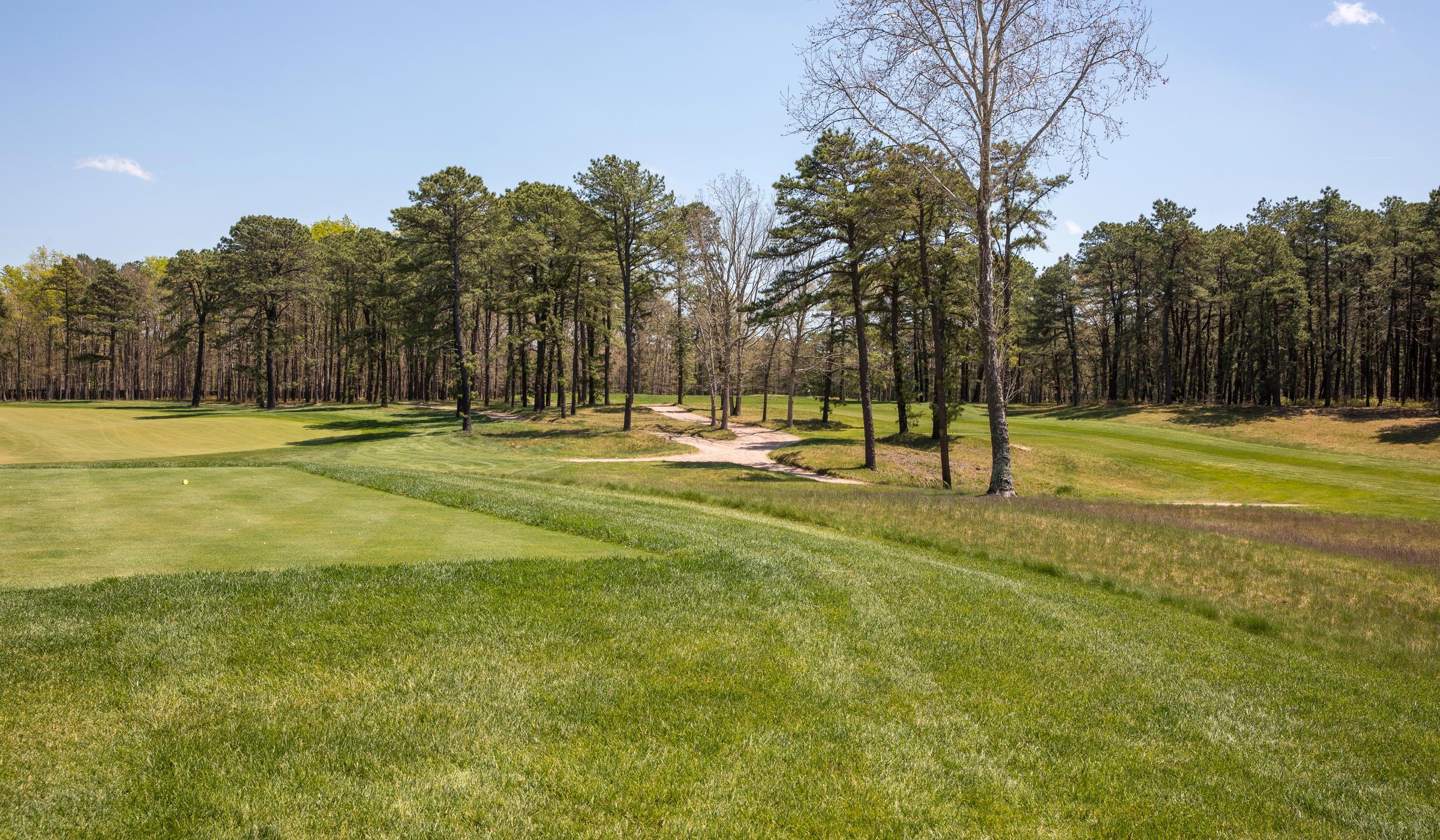 golf-green-treeline-approach