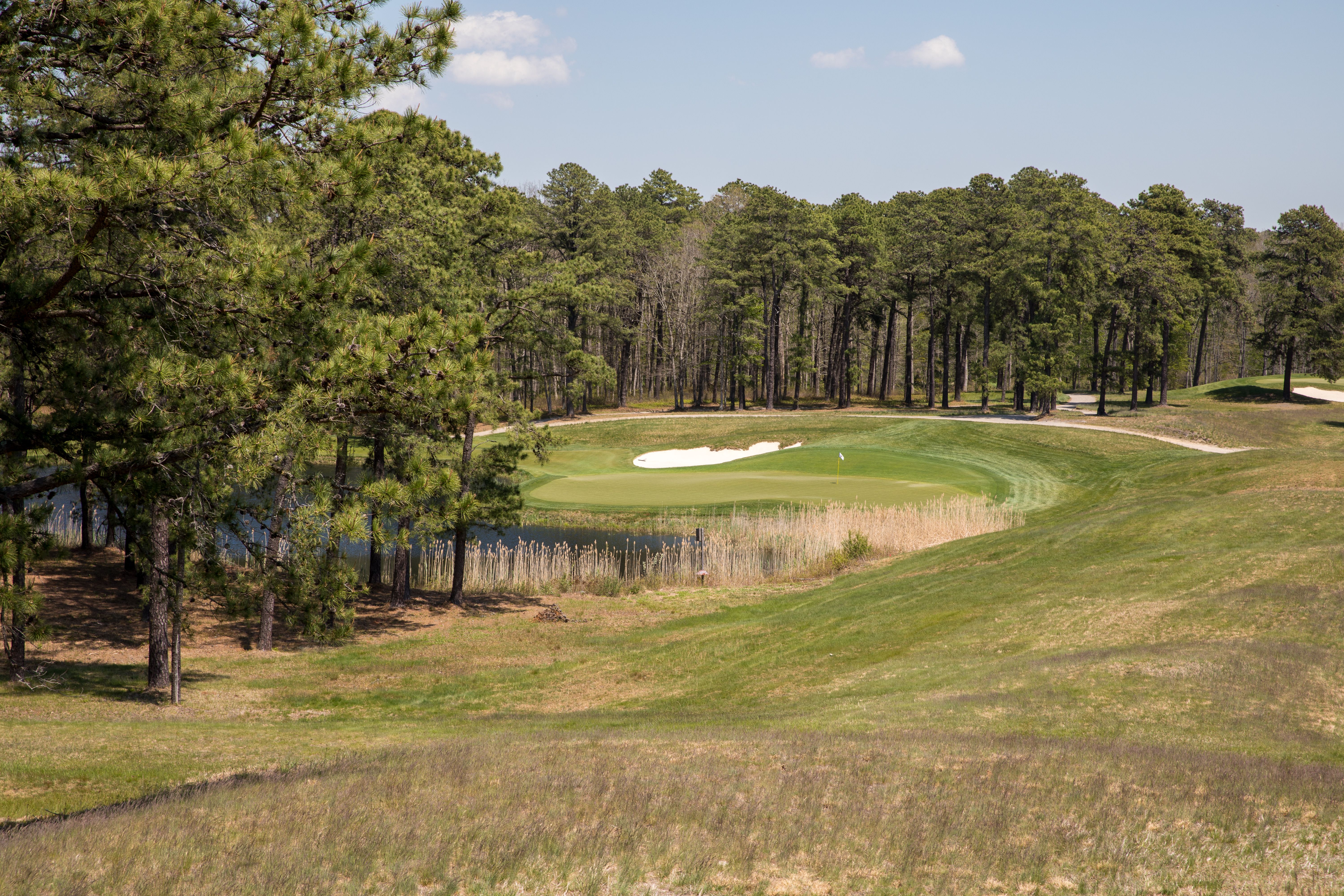 golf-green-bunkers-pond