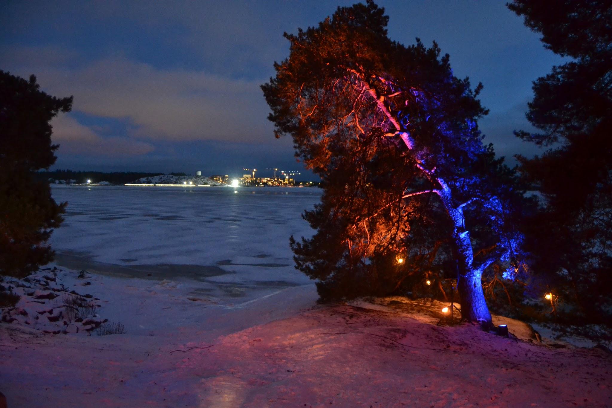 Korkeasaari 31.12.2021