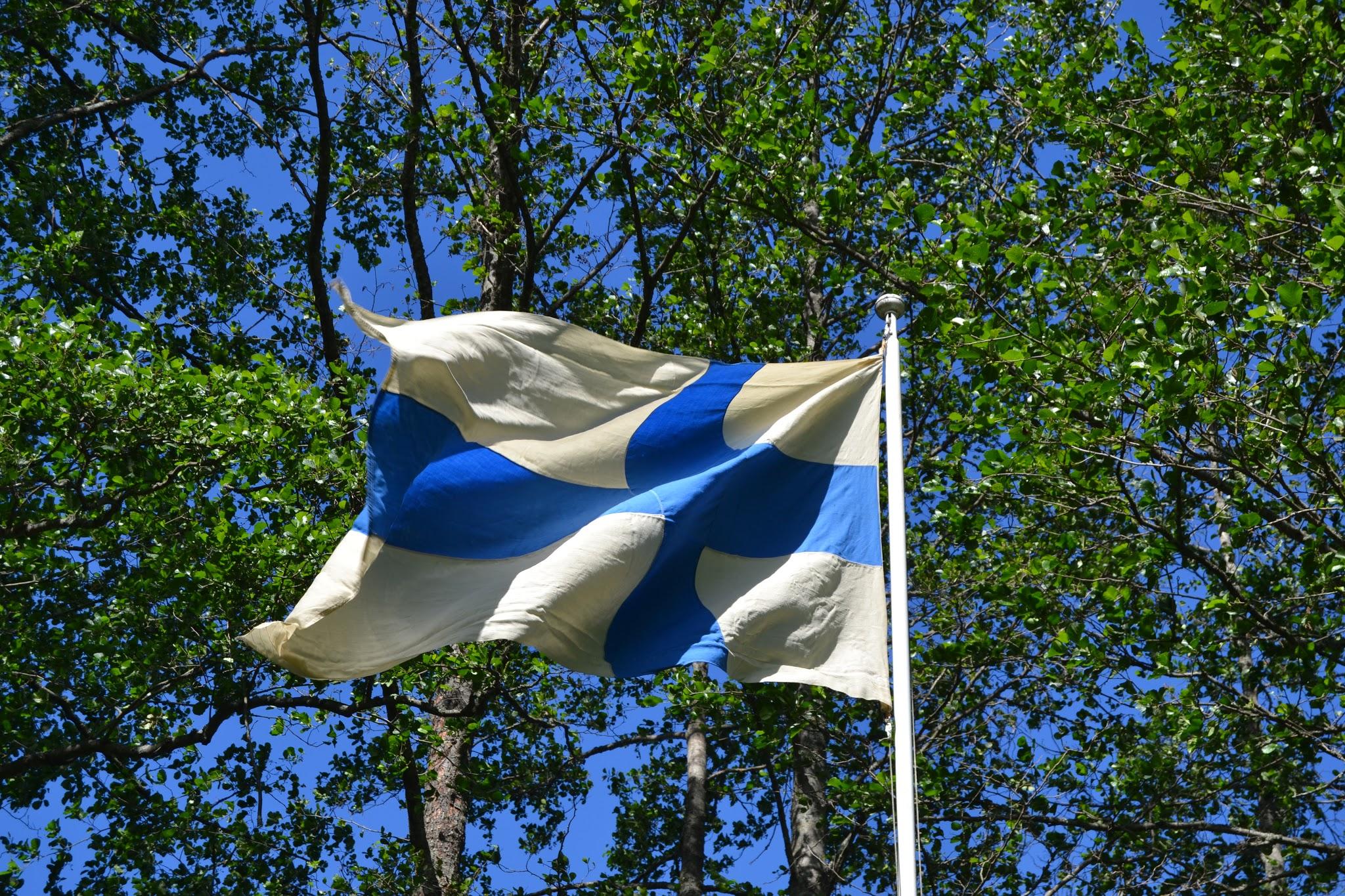 Suomen lippu liehuu salossa vehreiden koivujen ja sinisen taivaan edessä