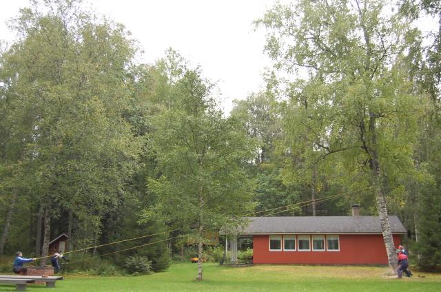 Talkoot: Koivun kaato, Kyminpirtti 30.08.2008