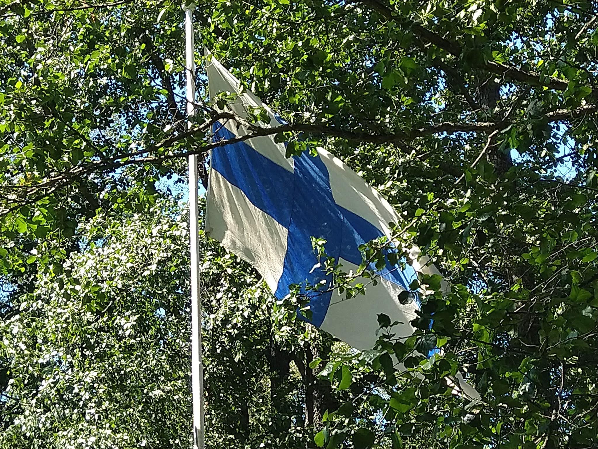 Suomen lippu liehuu salossa vehreiden lehtipuiden lomassa, 10.07.2021