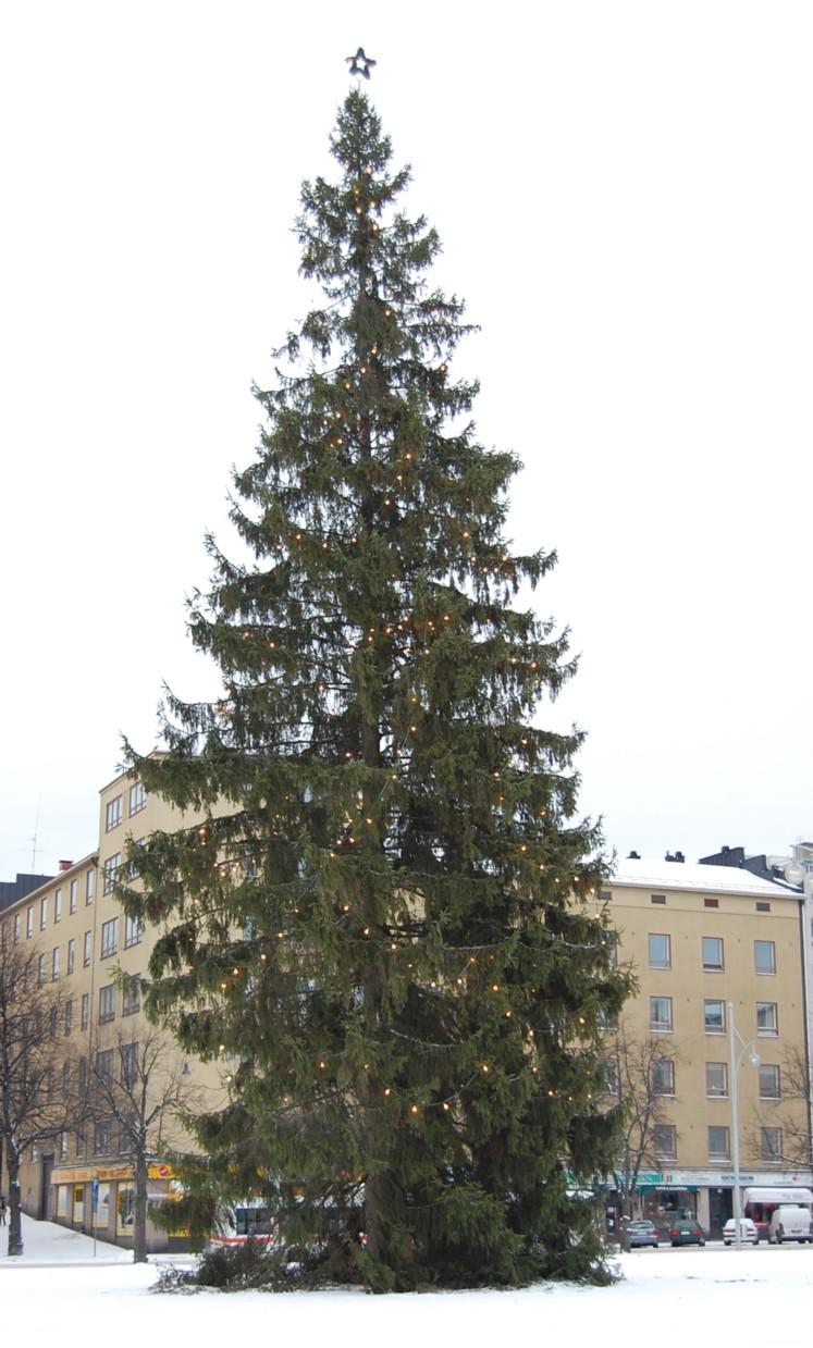 Jouluvaloin koristeltu korkea joulukuusi lumisella torilla kerrostalojen edessä, 24.12.2008