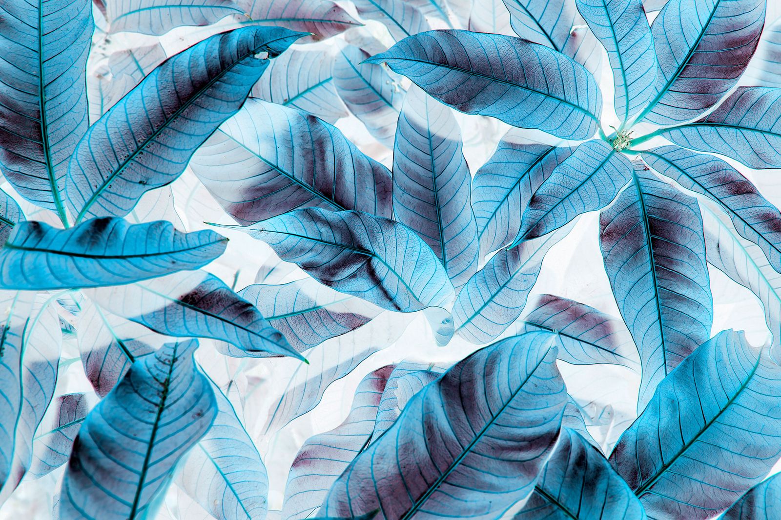 Digital Printing
