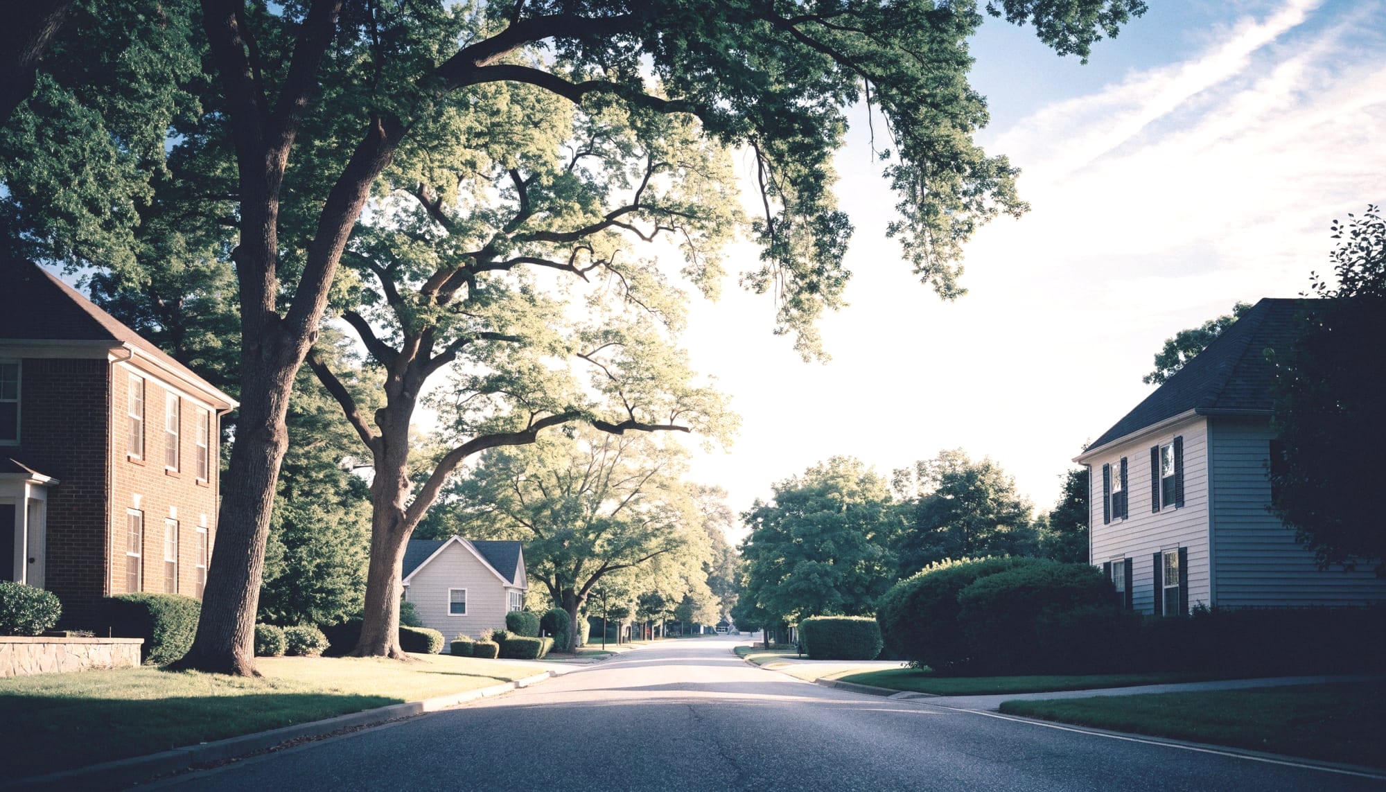 Tree-lined suburban street with brick homes