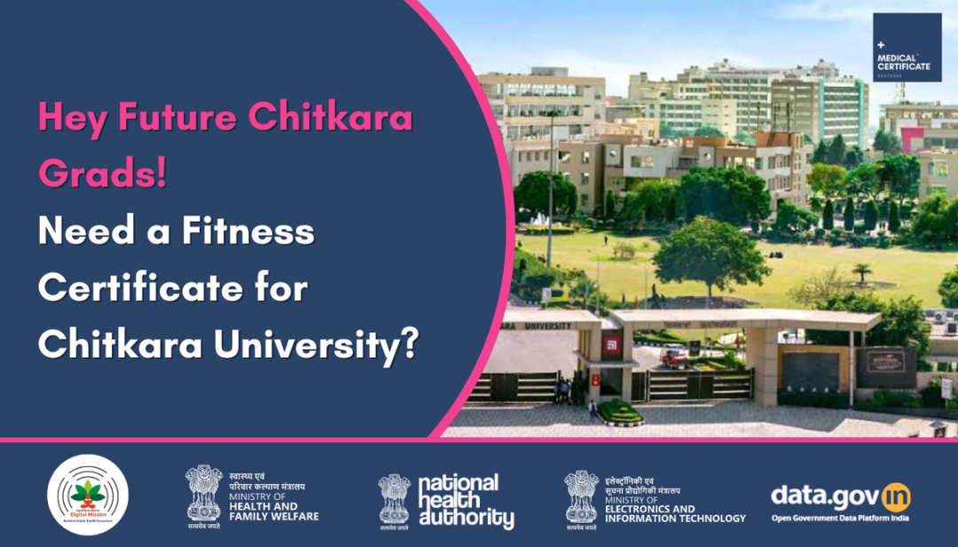 Completing Your Chitkara Medical Form: A Student's Walkthrough