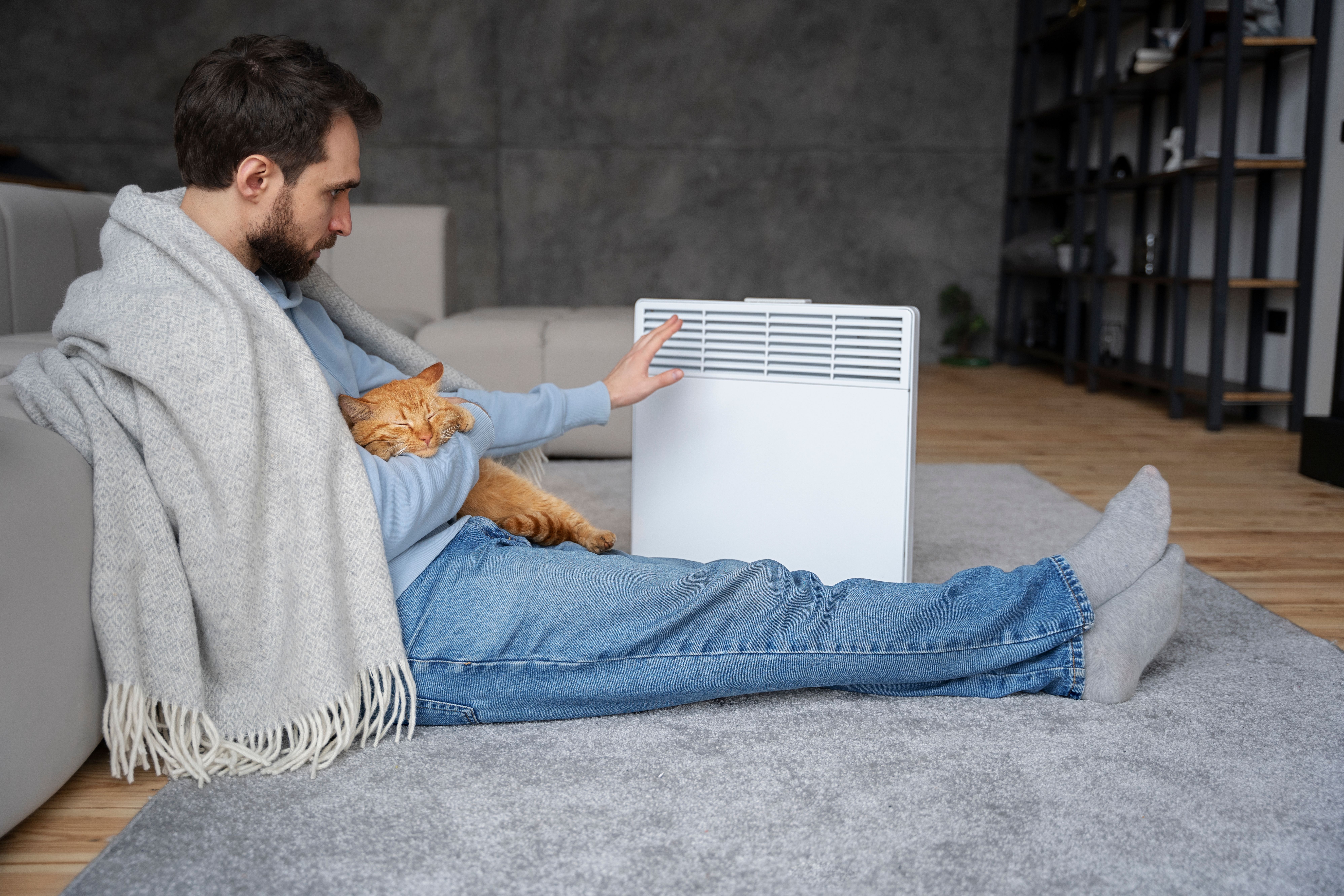 Whole-Home Air Purification Systems for Belton Homes