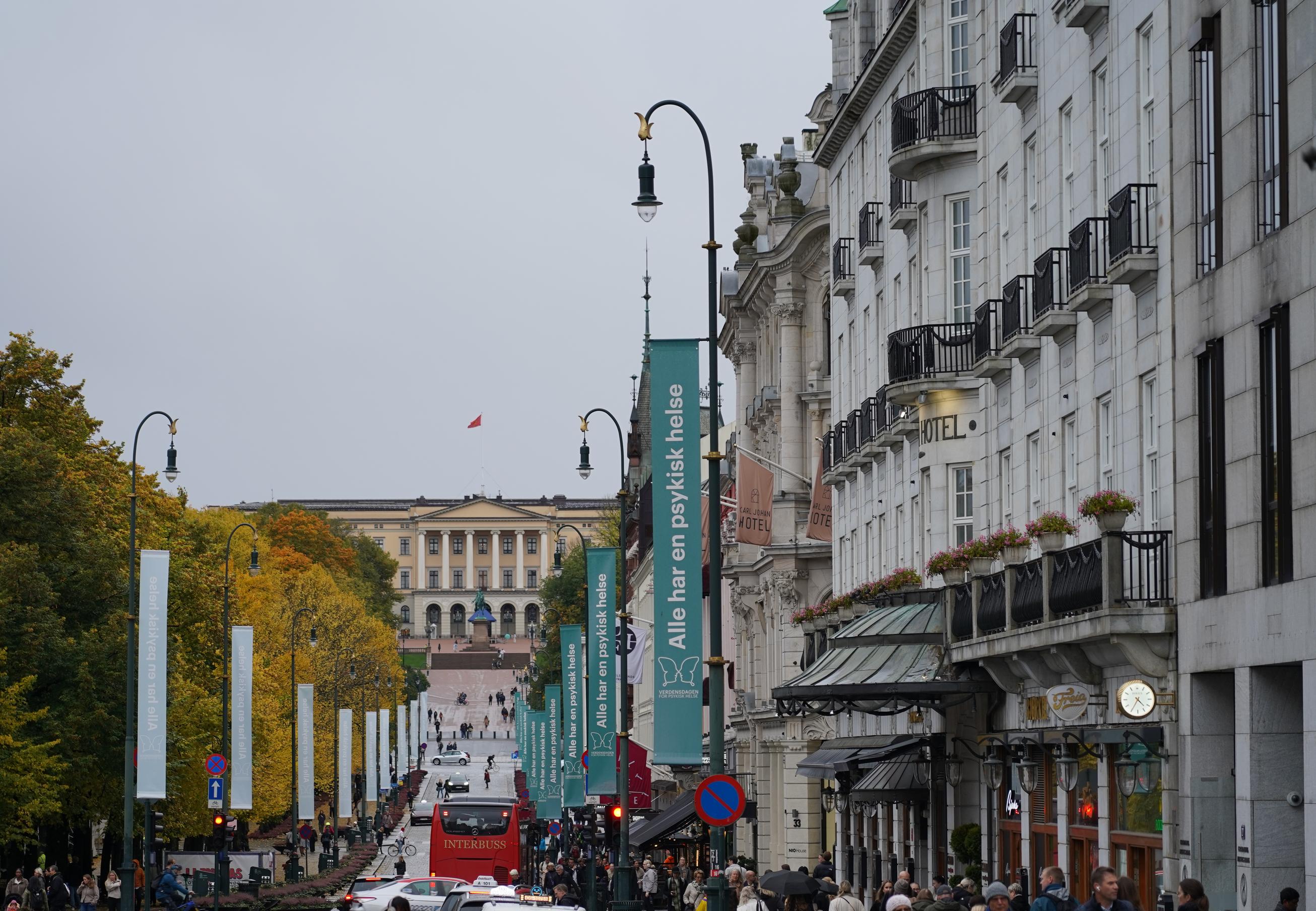 Bilde av Karl Johans gate i Oslo med grønne flagg fra Verdensdagen for psykisk helse