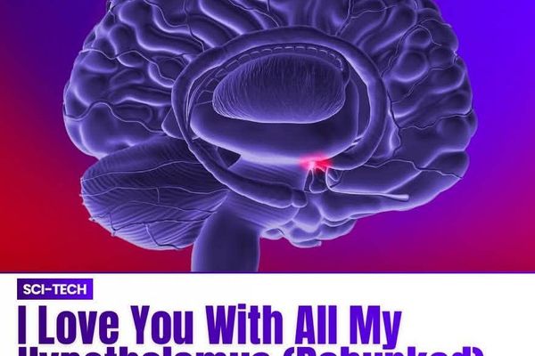 I Love You with All my Hypothalamus (Debunked)