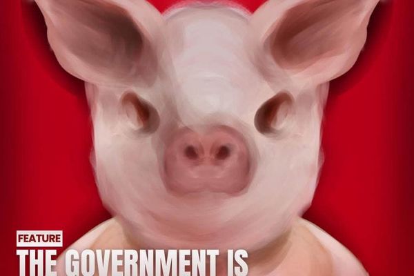 The Government is Snout of Order
