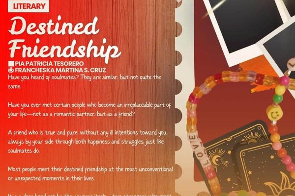 Destined Friendship