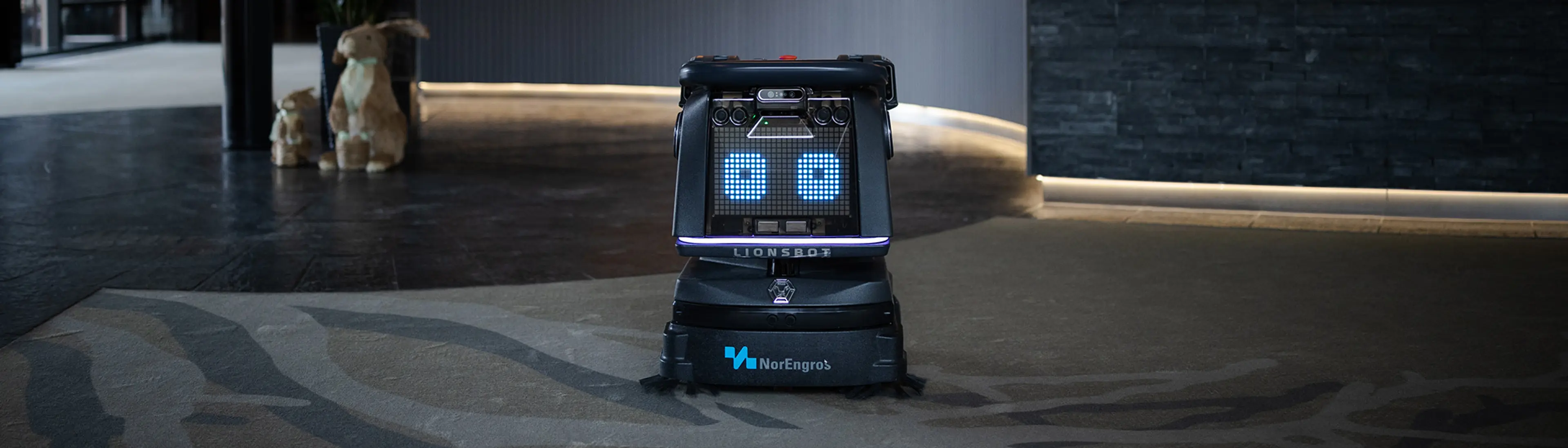 Lionsbot robot