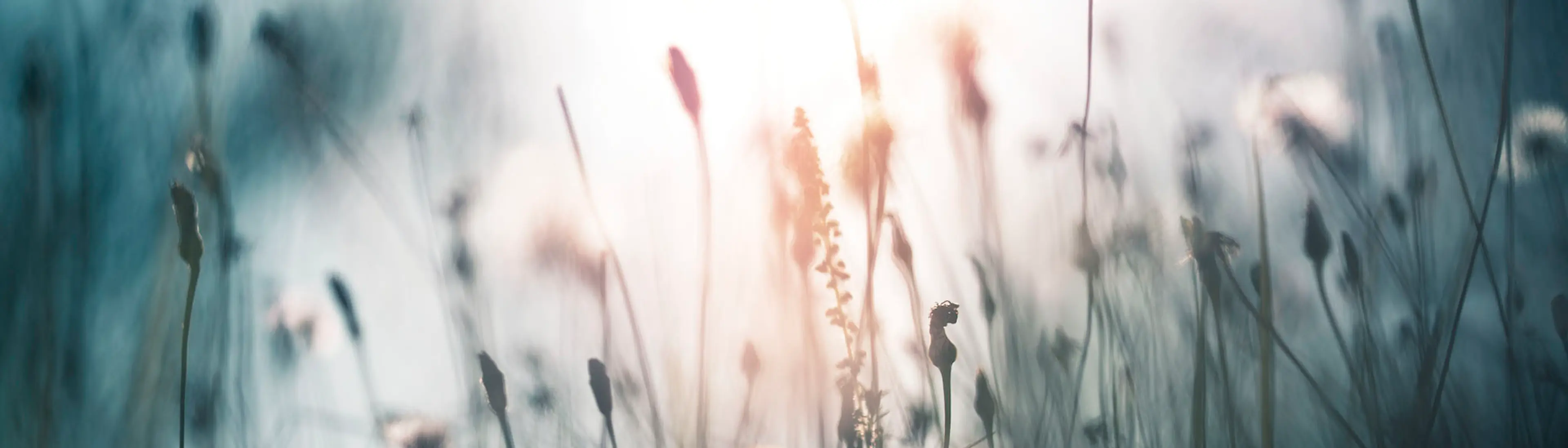 Blomstereng - Miljøvalg