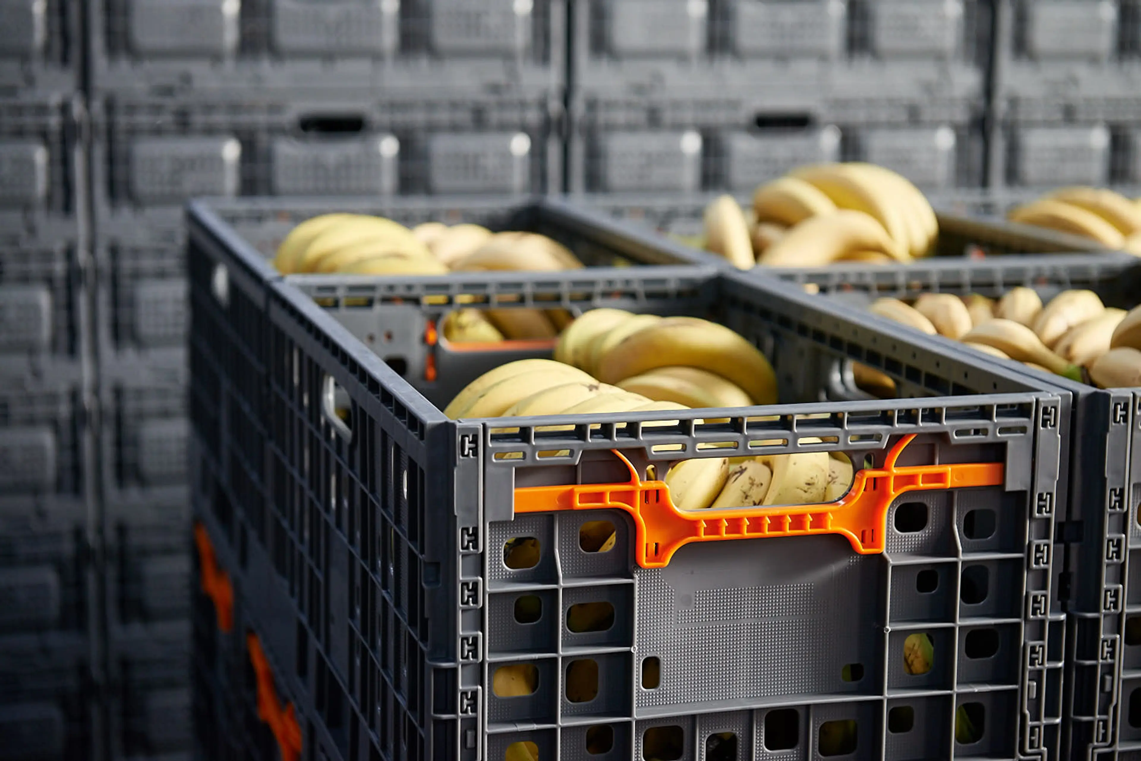 Sammenleggbare plastkasser med bananer