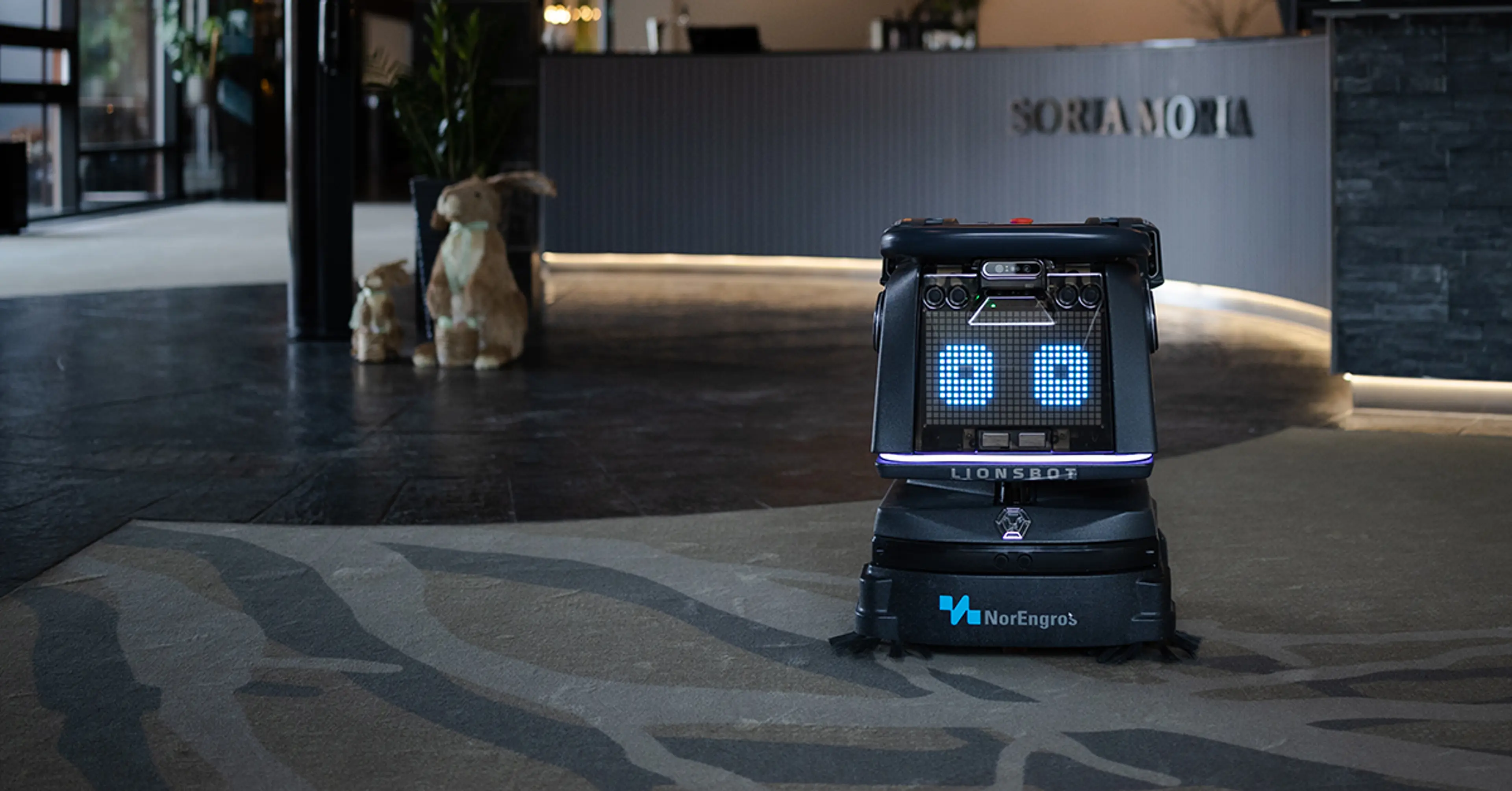 Lionsbot robot