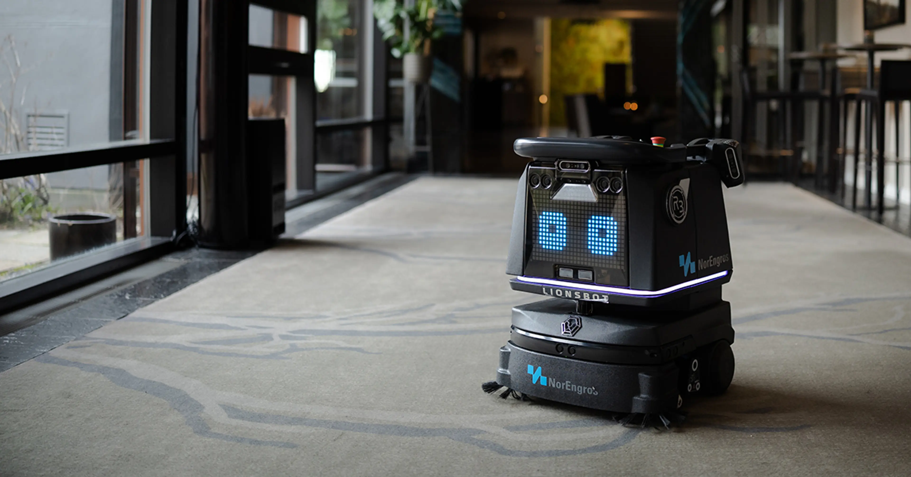 Lionsbot robot